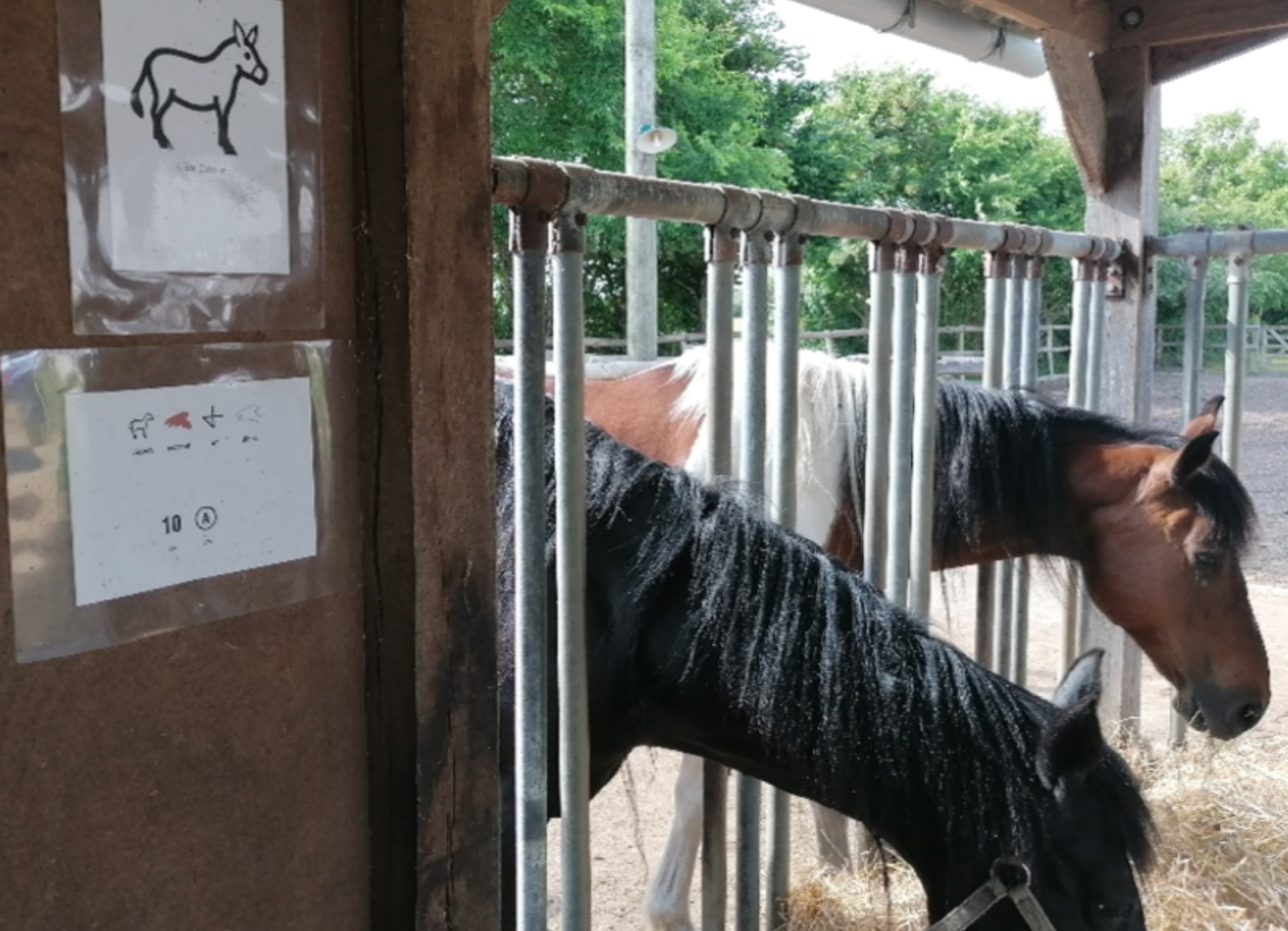 Mets du makaton dans ta ville-ferme pédagogique